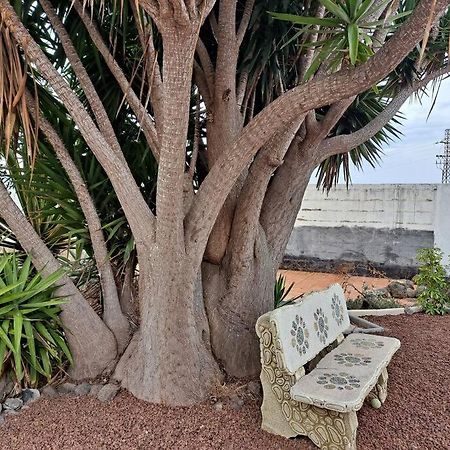 Tenerife Apartment Dulcynea With Terrace And Garden 600M2 With Ocean And Teide View Icod De Los Vinos Exteriér fotografie