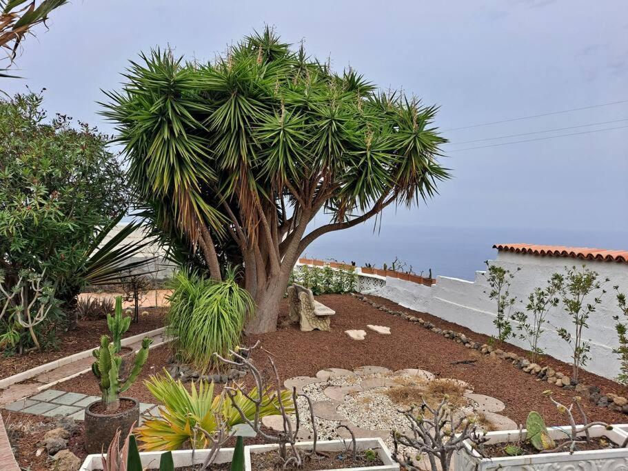 Tenerife Apartment Dulcynea With Terrace And Garden 600M2 With Ocean And Teide View Icod De Los Vinos Exteriér fotografie