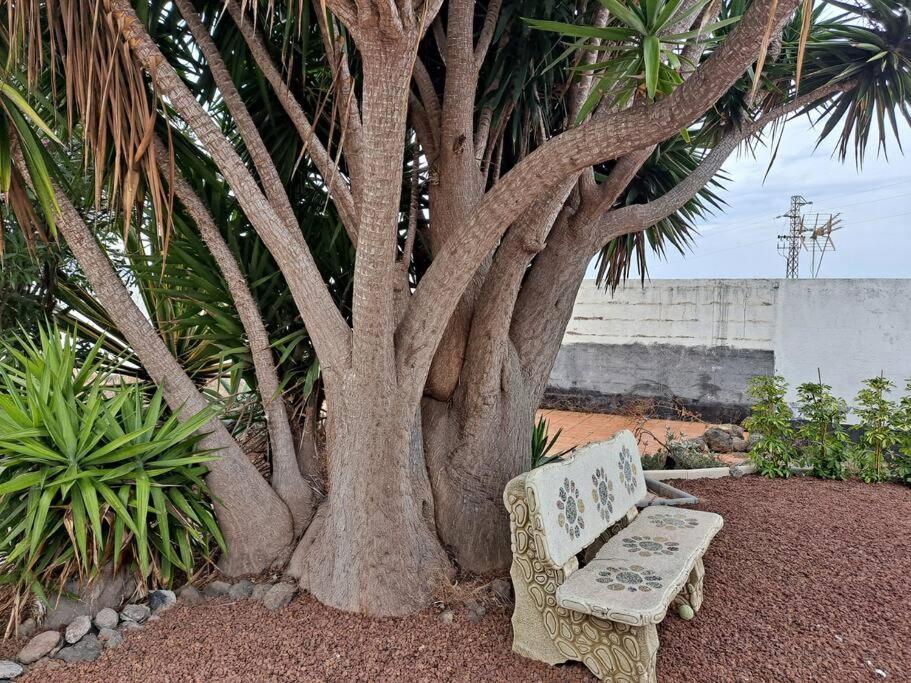 Tenerife Apartment Dulcynea With Terrace And Garden 600M2 With Ocean And Teide View Icod De Los Vinos Exteriér fotografie
