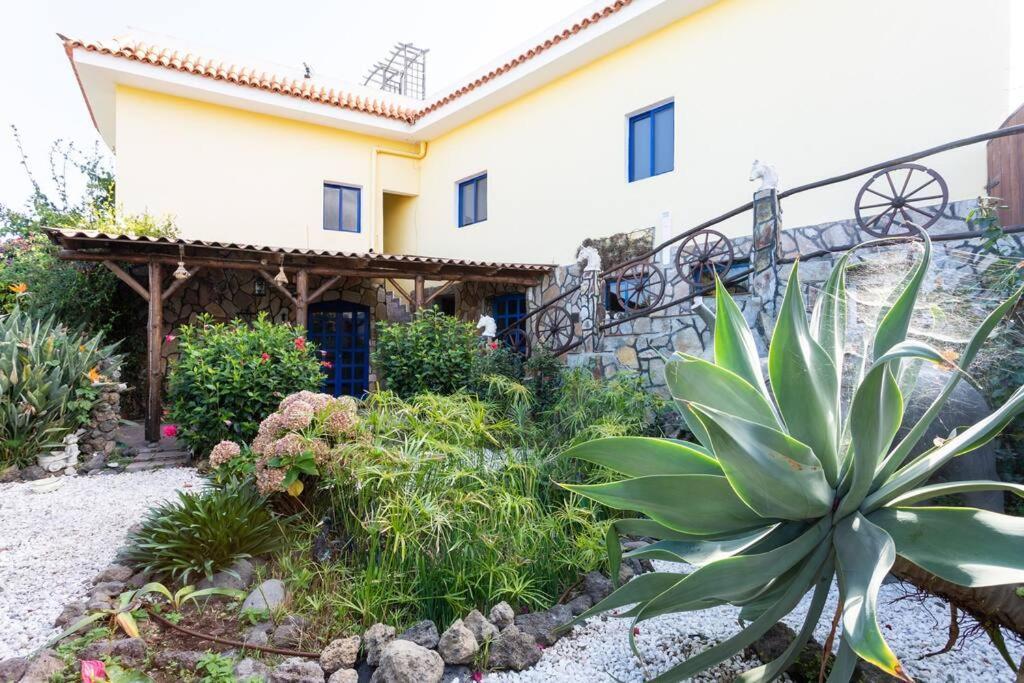Tenerife Apartment Dulcynea With Terrace And Garden 600M2 With Ocean And Teide View Icod De Los Vinos Exteriér fotografie
